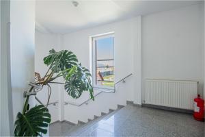 Fotografie z fotogalerie ubytování Casa Mureșan v destinaci Brašov
