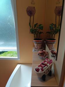 a shelf with two potted plants and a bowl of fruit at Villa Ardilla (La Adrada) in La Adrada +28 photos