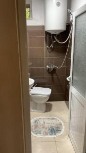 een badkamer met een toilet en een wastafel bij Alva Room's in Gjirokastër