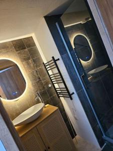 ein Bad mit einem Waschbecken und einem Spiegel in der Unterkunft RÃªve de Loire in La Daguenière