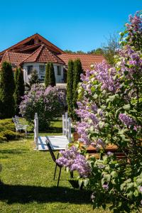 アヴリグにあるPensiunea Poiana Avriguluiの紫の花の茂みの前の白いベンチ