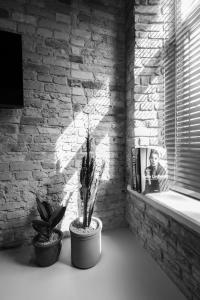 deux plantes en pot dans une pièce avec un mur en briques dans l'établissement Hortus Vilnius, à Vilnius