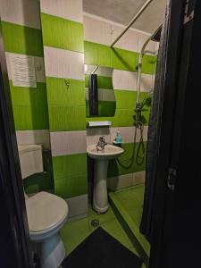 a green and white bathroom with a toilet and sink at Casa Miclau in Băile Herculane