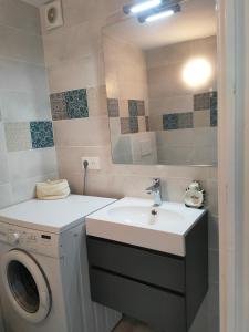 a bathroom with a washing machine and a sink at Les Arbousiers in La Croix-Valmer