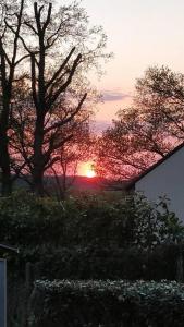 um pôr-do-sol atrás de algumas árvores com o sol à distância em Gîte du Hérisson 