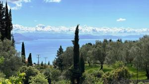 a view of the ocean from a park with trees at Grande Terra Villas with Swimming Pool & Starlink WiFi in Spartýlas