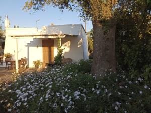 Vonkajšia záhrada v ubytovaní La casa degli artisti