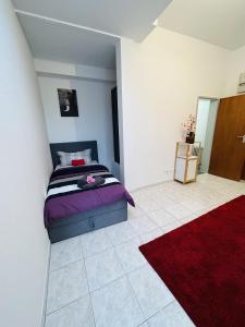 1 dormitorio con cama y alfombra roja en Minas Ferienwohnung, en Dormagen 2 fotos más