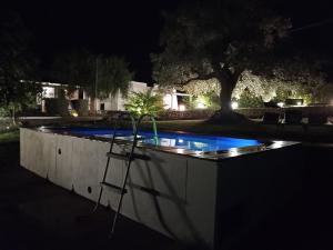 Bazén v ubytovaní La casa degli artisti alebo v jeho blízkosti