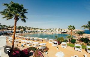 einem Pool mit weißen Stühlen und einem Strand in der Unterkunft Domina coral Bay diving Spa casino sultan beach in Sharm El Sheikh