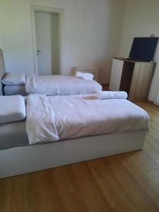 佩爾梅特的住宿－Bujtina Lugina e vjosës，铺有木地板的客房内的两张床