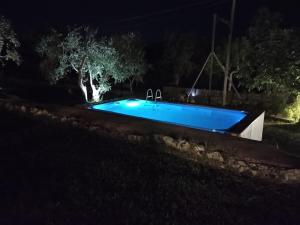 Bazén v ubytovaní La casa degli artisti alebo v jeho blízkosti