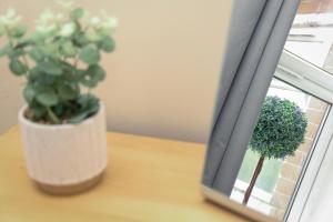 a potted plant sitting on a table next to a window at Inviting 2-Bed apartment - Perfect for Contractors and Business Travellers in Retford