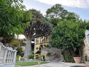 una casa con un árbol delante de ella en Buen Retiro en Güimar
