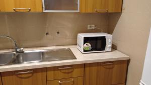 - un four micro-ondes installé sur un comptoir de cuisine à côté d'un évier dans l'établissement Casa Gregorio 2, à Palazzolo Acreide