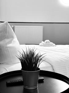 Postel nebo postele na pokoji v ubytování Hotel Alex Berlin