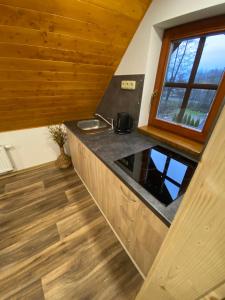 a kitchen with a counter top and a window at Apartmán u rybníka in Sobotín