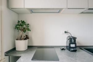 a kitchen with a potted plant on a counter at M14 SkyView City Center in Padova