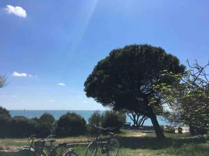 un grupo de bicicletas estacionadas junto a un árbol en Le petit Fauchon - Villa avec vue mer, en Île-dʼAix