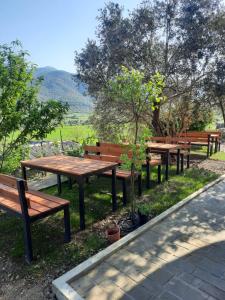 rząd drewnianych ławek w parku w obiekcie Bujtina Lugina e vjosës w mieście Përmet