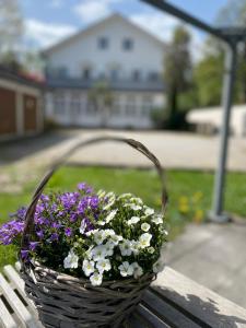 kosz kwiatów siedzący na ławce w obiekcie Ferienwohnung Am Franziskanergarten w mieście Bad Tölz