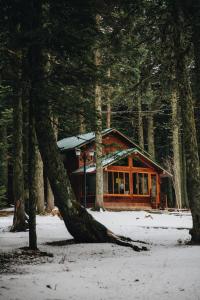 una cabaña de madera en el bosque con nieve en el suelo en Karinna Orman Koskleri, en Uludag