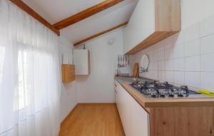 Kuchyňa alebo kuchynka v ubytovaní Lovely Apartment In Potocnica With Wifi