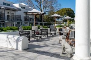a white dog standing next to a table and chairs at Manor Boutique House in Cape Town
