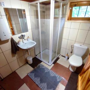 a bathroom with a shower and a toilet and a sink at Domek na Skarpie Łutynowo gmina Olsztynek in Olsztynek