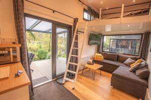 a tiny house with a couch and a ladder at Tiny House 14 - Sollberg in Salzhemmendorf