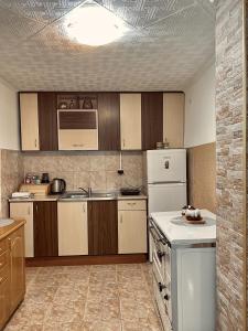 kuchnia z drewnianymi szafkami i białą lodówką w obiekcie Apartman Konatar w mieście Cetynia