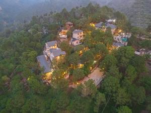 z góry widok na dom w lesie w obiekcie Jungle Lodge Resort w mieście Kasauli