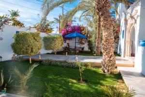 Foto sihtkohas Houmt El Souk asuva majutusasutuse DAR AMEL galeriist