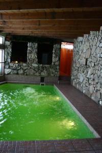 einem Pool mit grünem Wasser vor einem Gebäude in der Unterkunft Cozy House Mētriņi in Ķekava