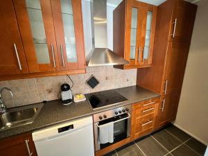 Kuchyň nebo kuchyňský kout v ubytování Narvik city apartment