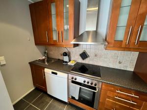 Kuchyň nebo kuchyňský kout v ubytování Narvik city apartment