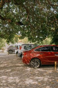 zwei Autos auf einem Parkplatz unter einem Baum geparkt in der Unterkunft Nirvana Pipa in Pipa