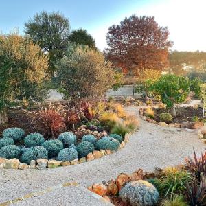 A garden outside Trullo Falco