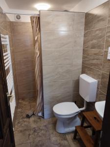 a bathroom with a toilet and a sink at Szent Iván Vendégház in Tata