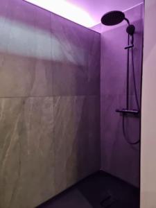 baño con ducha con pared morada en Le Refuge de la Chapelle, en Assesse