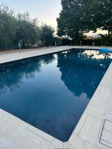 a swimming pool with blue water in a yard at Hotel Teta in Castignano