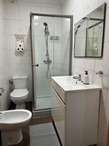a bathroom with a shower and a toilet and a sink at Ferreira House in Seia +22 photos