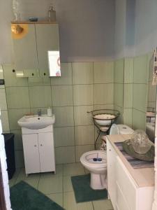 a bathroom with a toilet and a sink at Apartament Wilhelma II in Ząbkowice Śląskie
