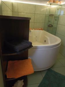 a white bath tub in a bathroom with a shower at Apartament Wilhelma II in Ząbkowice Śląskie