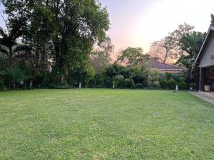 a yard with a green lawn with trees and a house at Golden bamboo in Nyanda