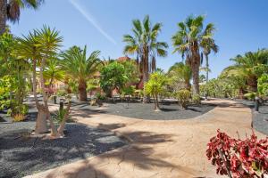 Vonkajšia záhrada v ubytovaní Oasis Tamarindo