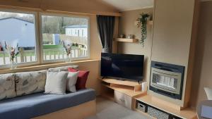 a living room with a couch and a flat screen tv at 7 Lakes Country Park, 38 Sunset View in Crowle