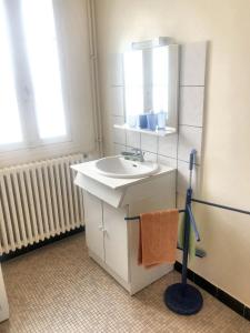 a bathroom with a sink and a mirror and a mop at Maison de 3 chambres avec jardin amenage a Montbron in Montbron