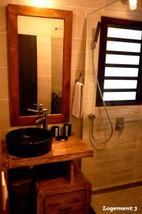 a bathroom with a sink and a shower with a mirror at Loc974 Les Cocotiers in Saint-Leu