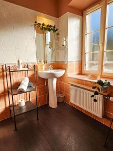 a bathroom with a sink and a mirror at Auberge de Chanteuges in Chanteuges